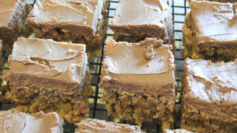 Fudge Bars No. 1 - Feature