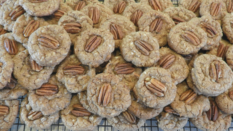 Chocolate Coconut Crisps - Feature